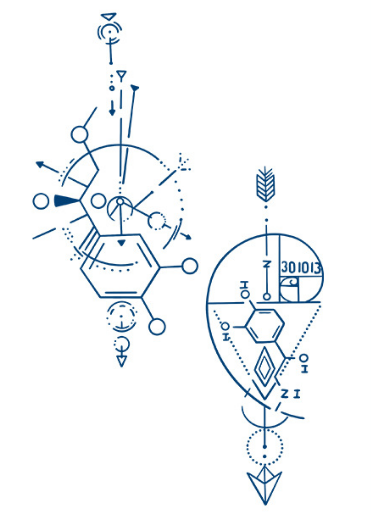 Mind Circuit